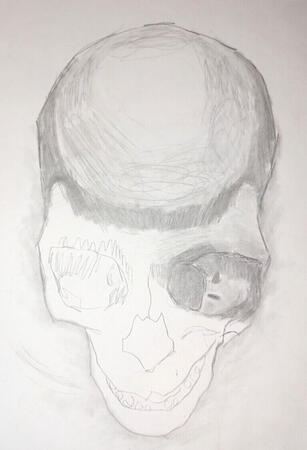 Skull Sketch